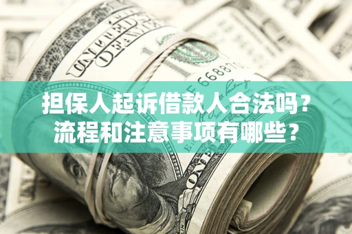 武汉担保人起诉借款人合法吗？流程和注意事项有哪些？