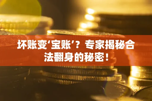 武汉坏账变‘宝账’？专家揭秘合法翻身的秘密！