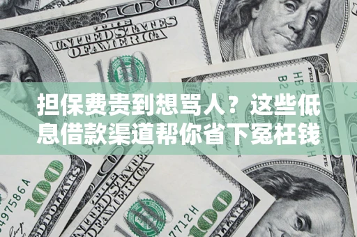 武汉担保费贵到想骂人？这些低息借款渠道帮你省下冤枉钱