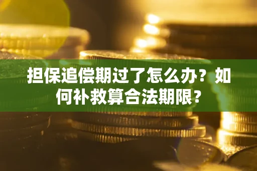 武汉担保追偿期过了怎么办？如何补救算合法期限？