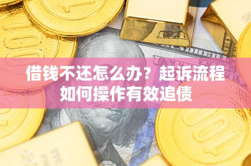 武汉借钱不还怎么办？起诉流程如何操作有效追债
