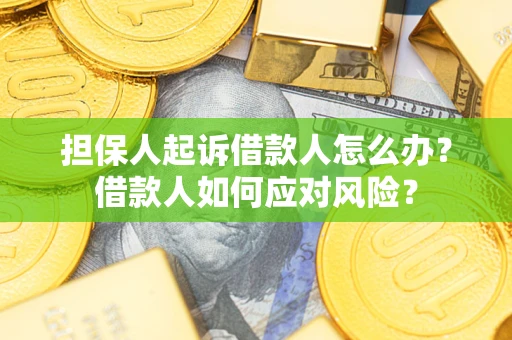 武汉担保人起诉借款人怎么办？借款人如何应对风险？