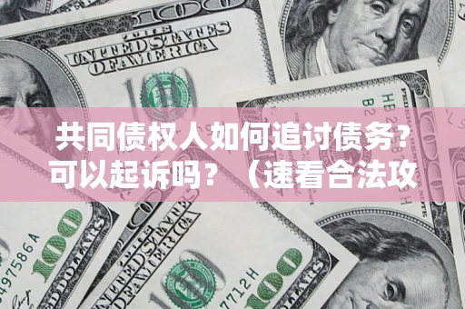 武汉共同债权人如何追讨债务？可以起诉吗？（速看合法攻略）