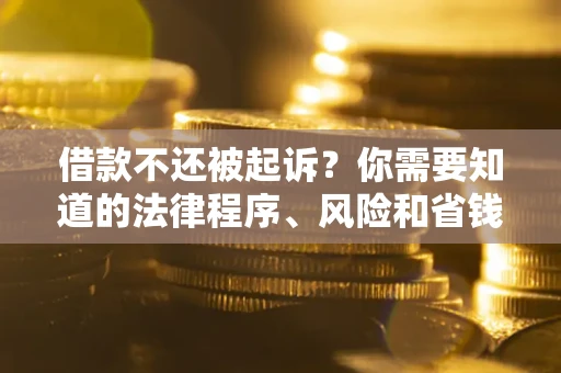 武汉借款不还被起诉？你需要知道的法律程序、风险和省钱技巧